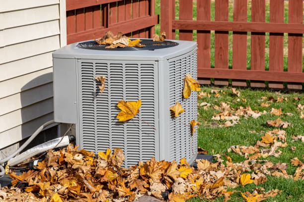 Best HVAC cleaning services  in Petersburg, IL